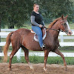 Meet your Posher, Lynda